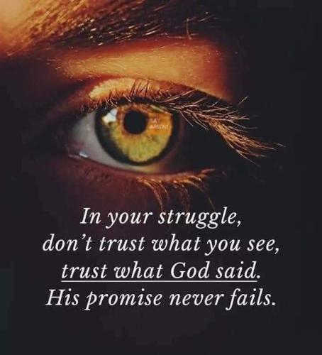 FB_IMG_1693348906436