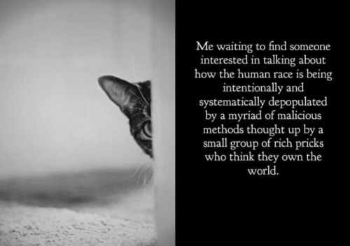 Screenshot_2023-08-02-13-25-12_kindlephoto-513199261