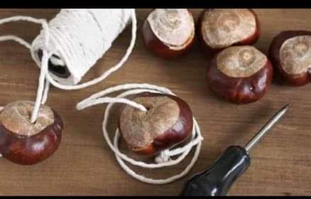 chestnuts
