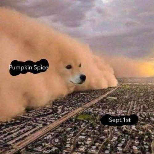 FB_IMG_1692544640774