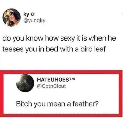 FB_IMG_1691727511490