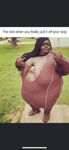 FB_IMG_1692905069682