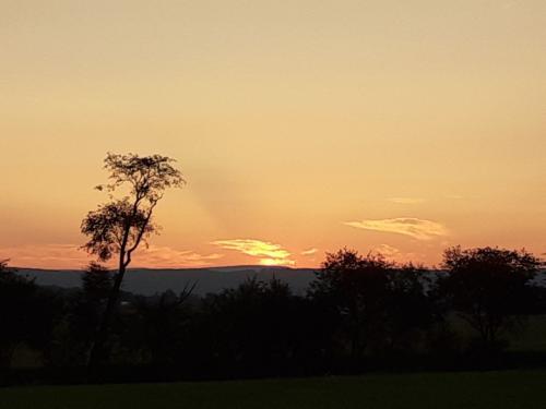 IMG_20230819_204510_066