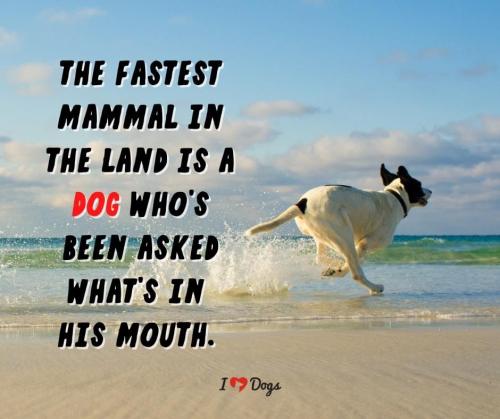 873A8729-8091-43F1-9FA4-373AE53AD08F