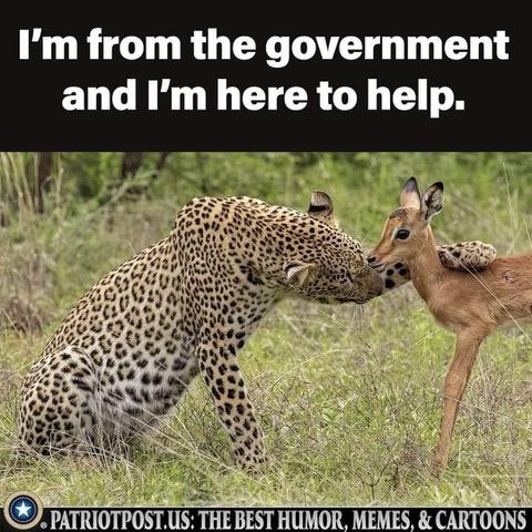 i am from the government