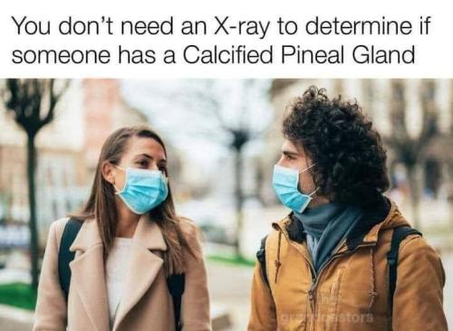 photo_2023-08-02_10-25-11