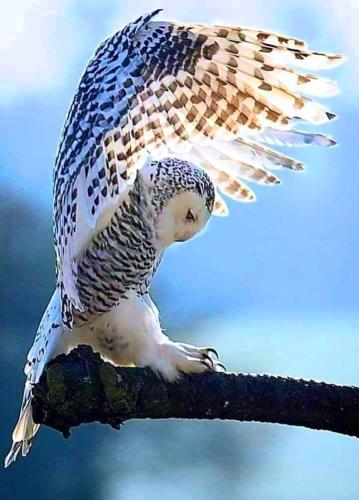 FB_IMG_1693481437846