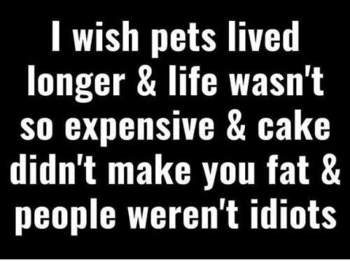 Screenshot_2023-08-27-15-49-47_kindlephoto-145984073