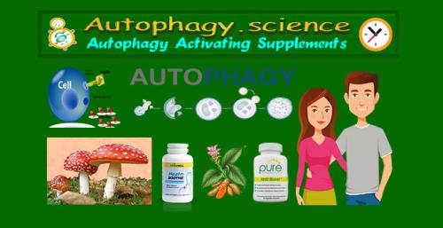 Autophagy.science - Autophagy Supplements
