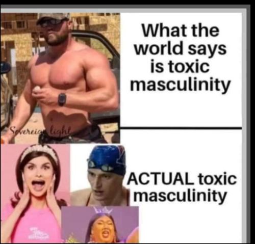 5d5c67215732c23b96912c6e73f12b54_768x0