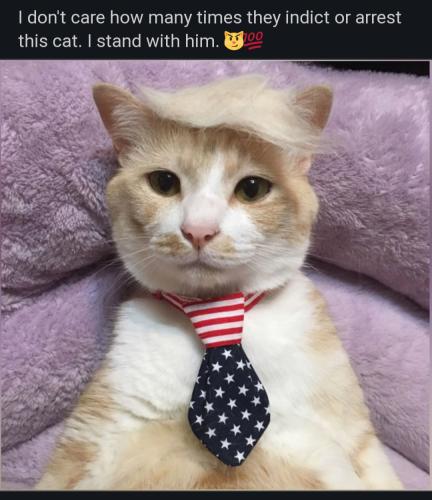 Screenshot_20230825_020930_Chrome