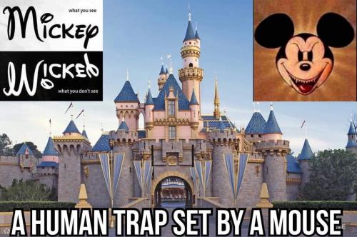 FB_IMG_1691330882685