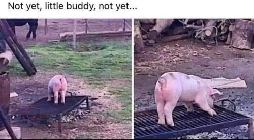 FB_IMG_1693346461788