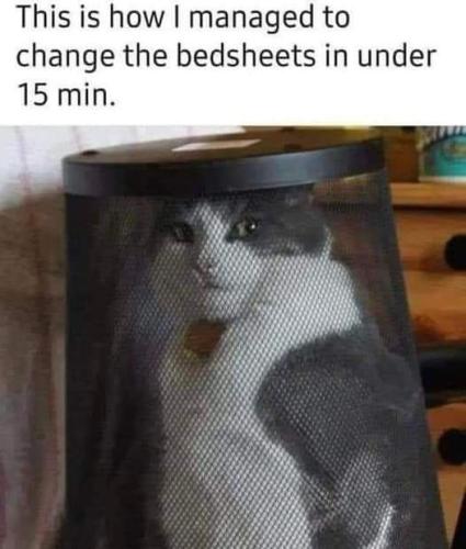 FB_IMG_1693432606342