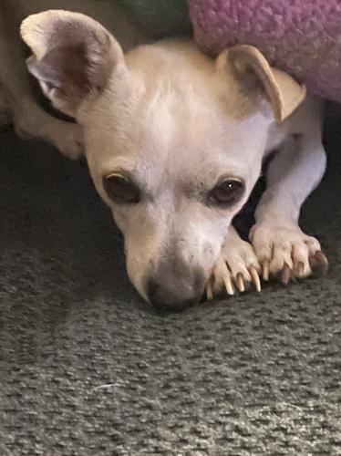 CA7668E1-3BF0-484A-8703-464F63801338