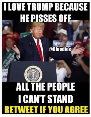 FB_IMG_1691197201444