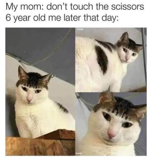 FB_IMG_1693433960831