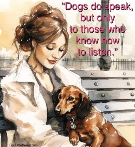 FB_IMG_1691808918131