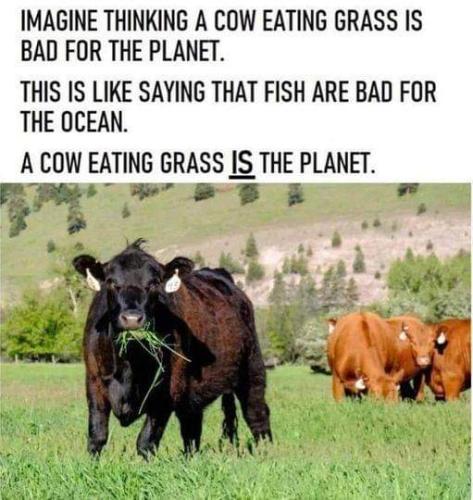 imagine thinking