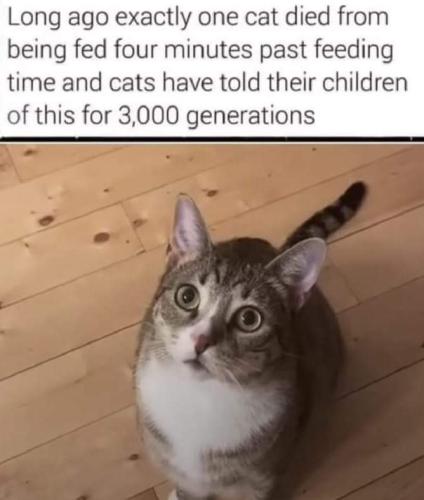 3000 generations