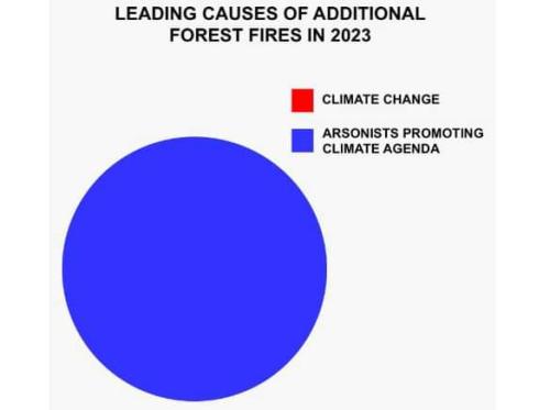 leading causes