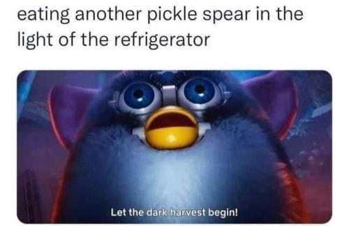 FB_IMG_1691598469463