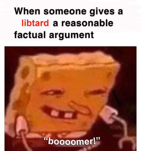 boomer libtardmeme sponge bob factual argument fixed