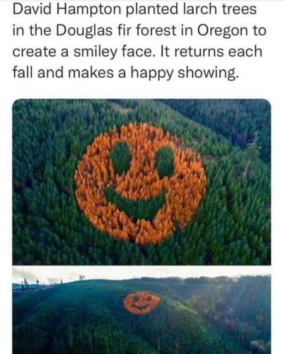 happy face