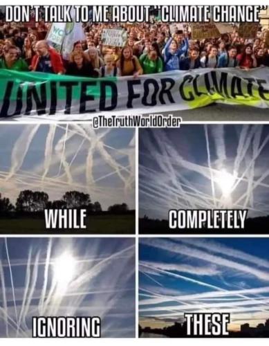 FB_IMG_1690063273207