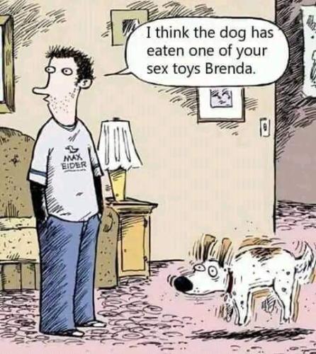 FB_IMG_1692769729926