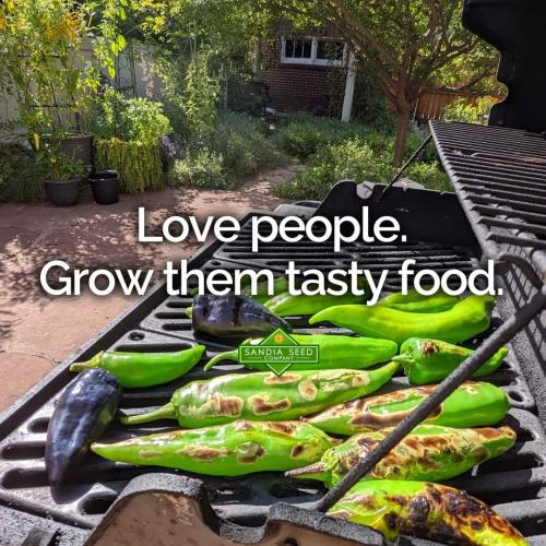 FB_IMG_1692327368790