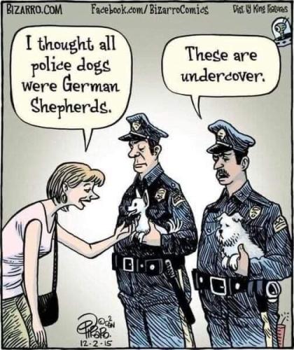 FB_IMG_1693100975223