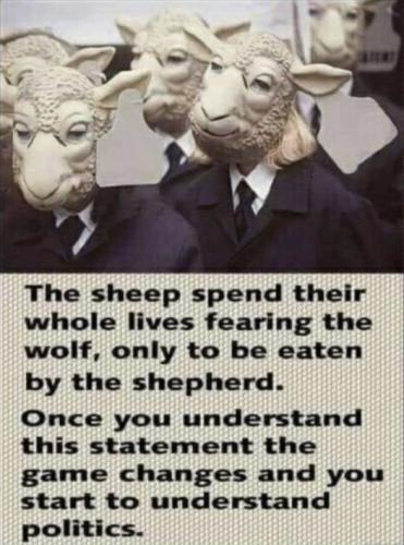 sheep_eaten_illogic