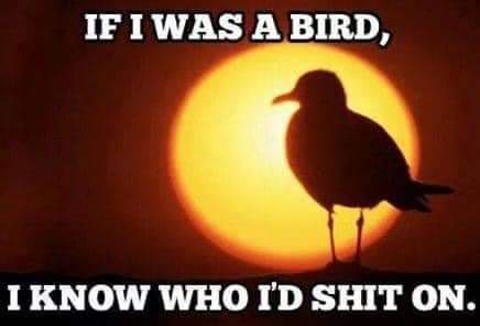 FB_IMG_1692214844229