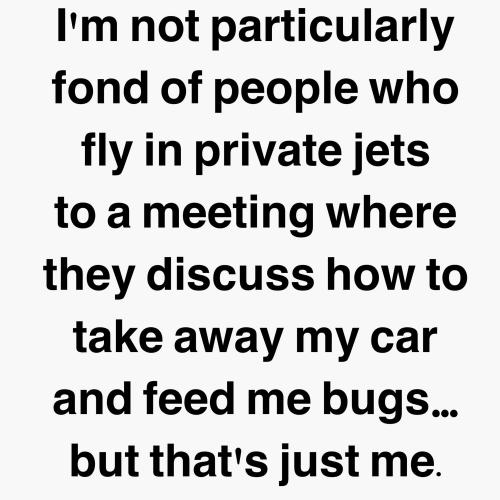 Private Jets-Eat The Bugs