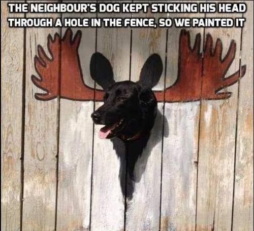 hole in the wall