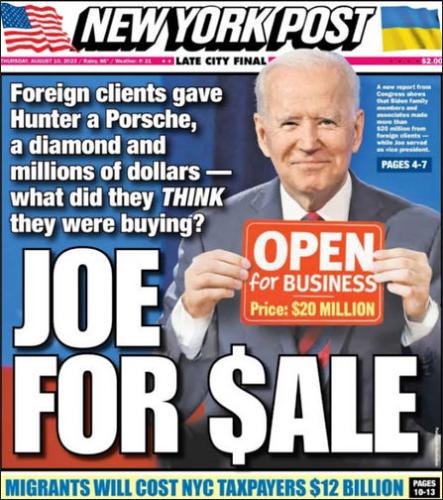 criminal activity113