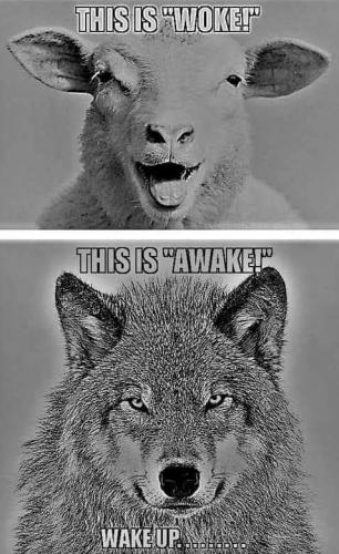 06:31:53 GMT-0700