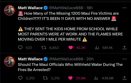 Maui 2