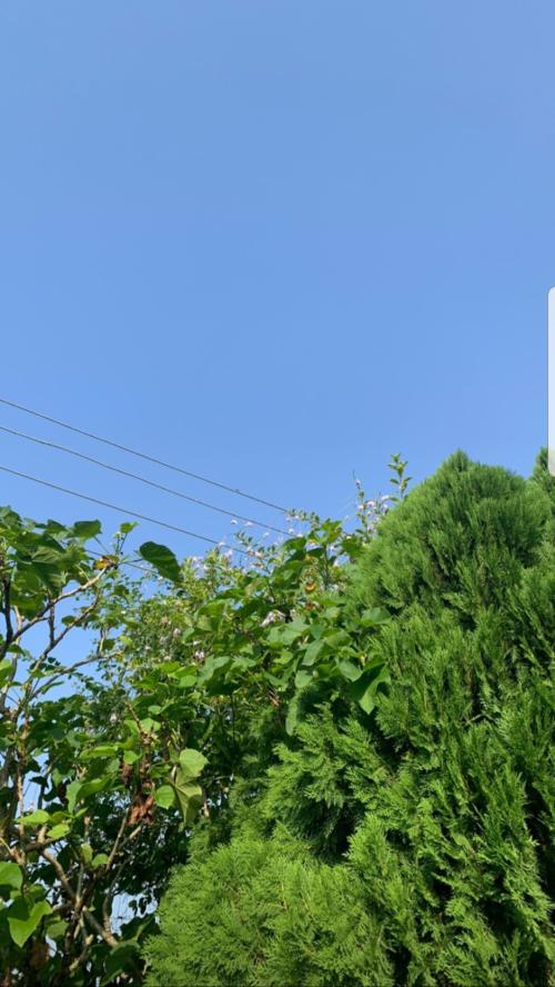 Screenshot_20221205-093137_Instagram