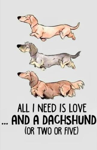 FB_IMG_1693355288776