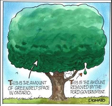 green space