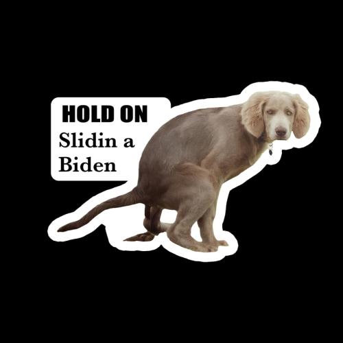 Hold on I'm slidin a Biden 832px
