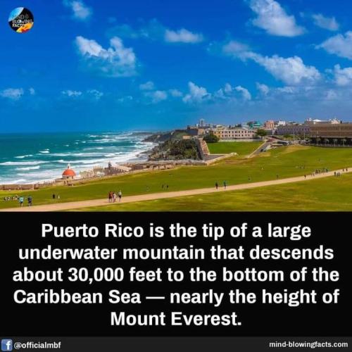 FB_IMG_1693026527044