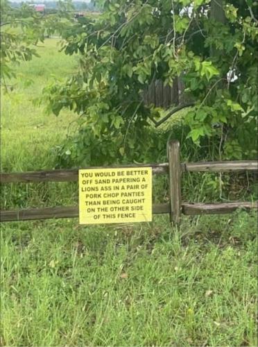 FB_IMG_1691511966480