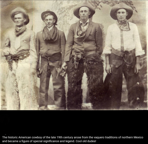 Screenshot_2023-08-17-21-03-55_kindlephoto-345462989