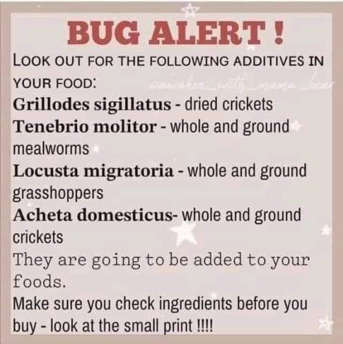 FB_IMG_1691329904836