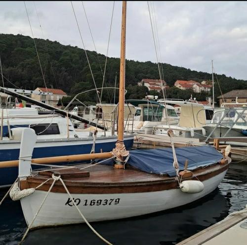 Screenshot_20230720-181428_Instagram