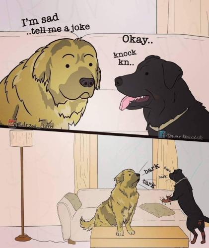 FB_IMG_1690825503938