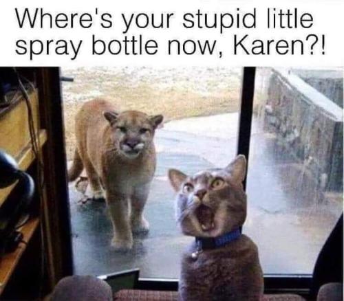 FB_IMG_1693350844999